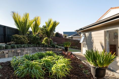 Photo of property in 54 Egmont Street, Ohauiti, Tauranga, 3112