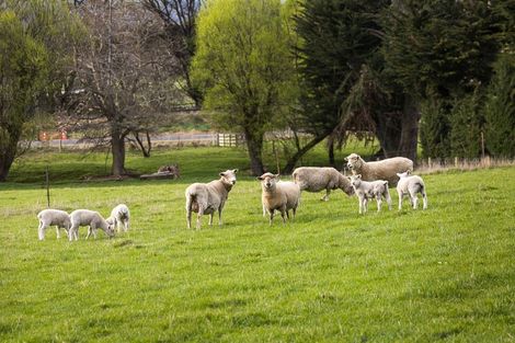 Photo of property in 309 Gladstone Road North, Mosgiel, 9092