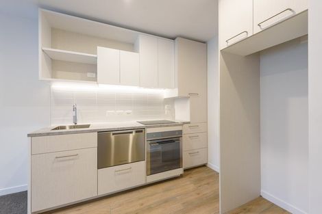 Photo of property in Vsp South, 1003/168 Victoria Street, Te Aro, Wellington, 6011