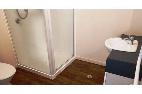 Photo of property in 29/31 Bordesley Street, Phillipstown, Christchurch, 8011