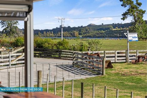 Photo of property in 239 Horahora Road, Piarere, Tirau, 3484