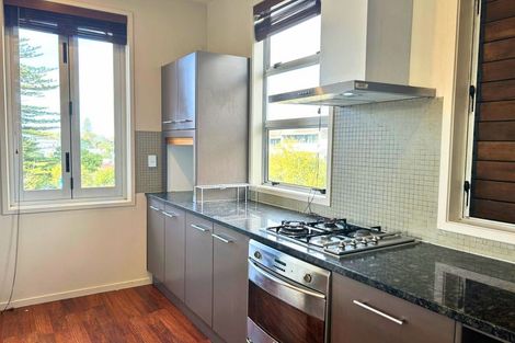 Photo of property in 6a Carlton Gore Road, Grafton, Auckland, 1023