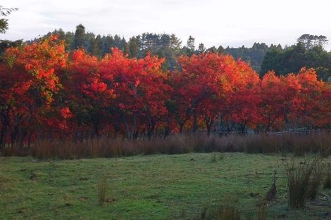Photo of property in 1812 Kaipara Coast Highway, Kaukapakapa, 0984
