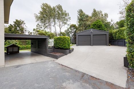 Photo of property in 77 North Street, Feilding, 4702