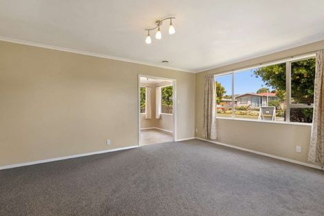 Photo of property in 40 Leefield Street, Blenheim, 7201