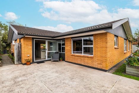 Photo of property in 8 Malcolm Street, Riverlea, Hamilton, 3216