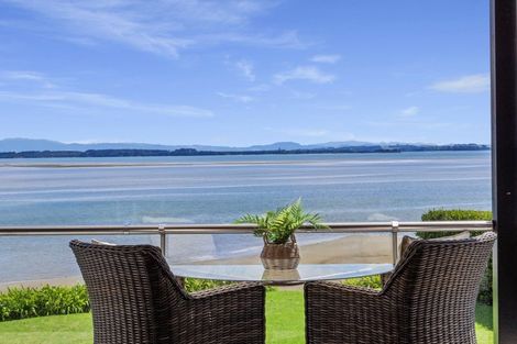 Photo of property in 23b Kings Avenue, Matua, Tauranga, 3110