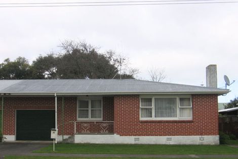 Photo of property in 33 Stuckey Street, Levin, 5510