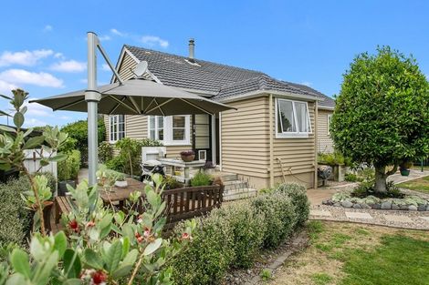 Photo of property in 8 Hurley Place, Cambridge, 3434