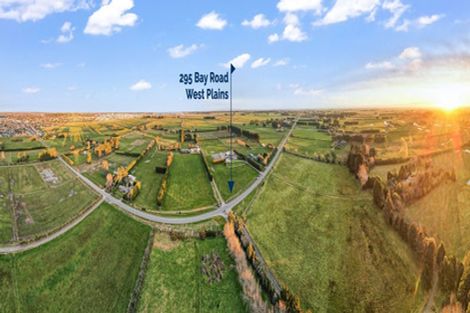 Photo of property in 295 Bay Road, West Plains, Invercargill, 9879