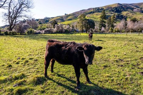 Photo of property in 89 Hillwood Drive, Wakapuaka, Nelson, 7071