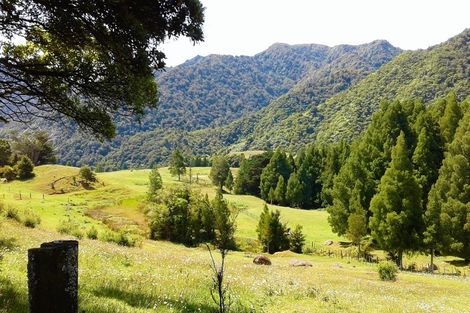 Photo of property in 445 Taita Road, Waimamaku, Kaikohe, 0473