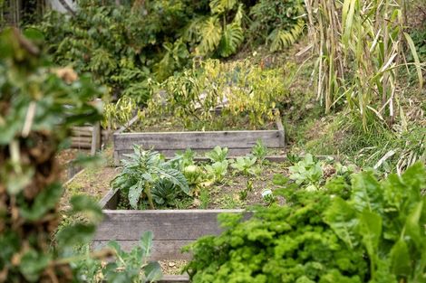 Photo of property in 116a Ridge Street, Otumoetai, Tauranga, 3110