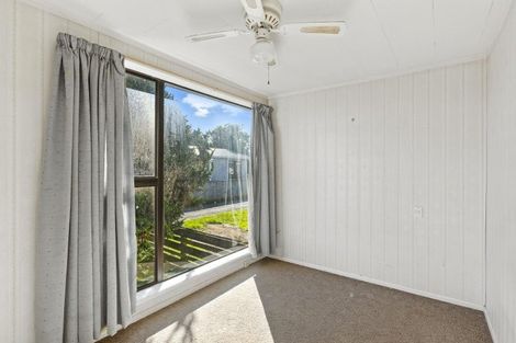 Photo of property in 12 Douglas Street, Levin, 5510