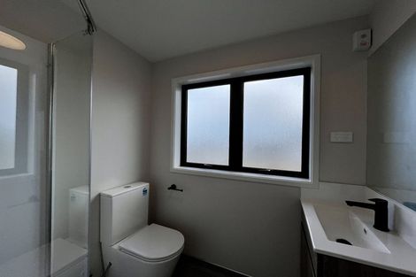 Photo of property in 6 Hamlin Road, Mount Wellington, Auckland, 1060