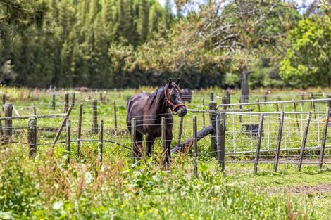 Photo of property in 113 Boord Crescent, Kumeu, 0891