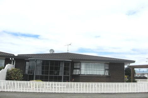 Photo of property in 81 Arthur Street, Blenheim, 7201