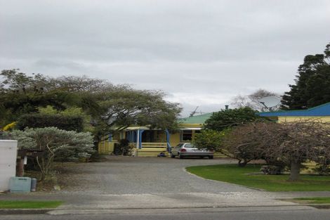 Photo of property in 60 Rugby Street, Levin, 5510