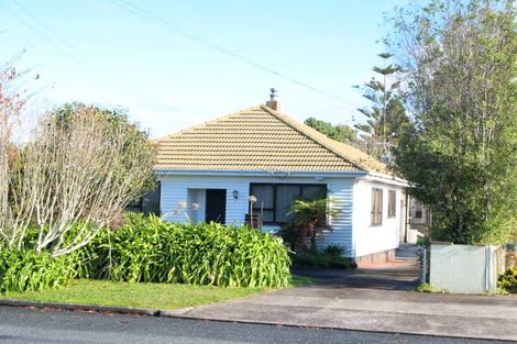 Photo of property in 12 Picton Street, Papatoetoe, Auckland, 2024