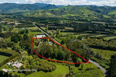 Photo of property in 62 Tuapiro Road, Tahawai, Katikati, 3170