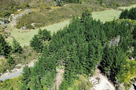 Photo of property in 197 Darkies Terrace Road, Charleston, Cape Foulwind, 7892