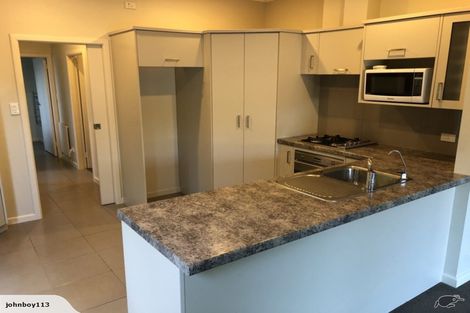 Photo of property in 58 Clarkin Road, Fairfield, Hamilton, 3214