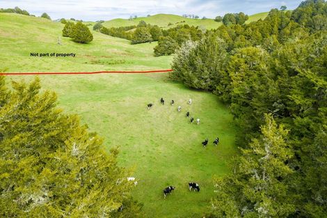 Photo of property in 1891 Pipiwai Road, Purua, Whangarei, 0176