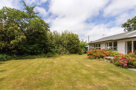Photo of property in 102 Paparoa Street, Papanui, Christchurch, 8053