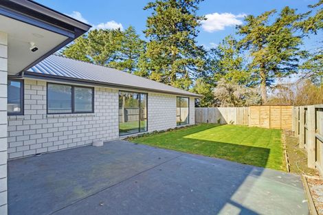 Photo of property in 3 Jag Way, Tinwald, Ashburton, 7700