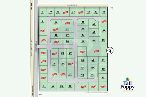 Photo of property in 269 Dunstan Road, Alexandra, 9391