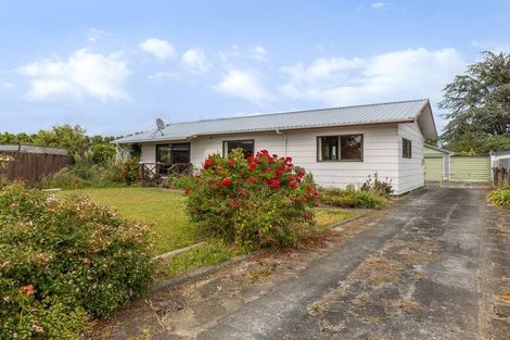Photo of property in 89 Strathmore Avenue, Levin, 5510