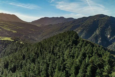 Photo of property in 184 Blue Duck Valley Road, Seaward Valley, Kaikoura, 7371