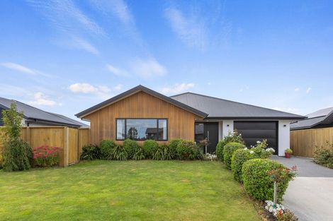 Photo of property in 41 Salisbury Avenue, Rangiora, 7400