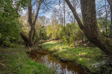 Photo of property in 64b Gleniti Road, Gleniti, Timaru, 7910
