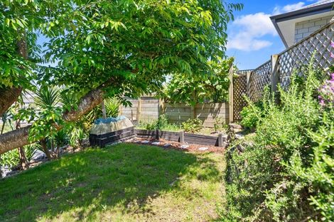 Photo of property in 46a Greerton Road, Gate Pa, Tauranga, 3112