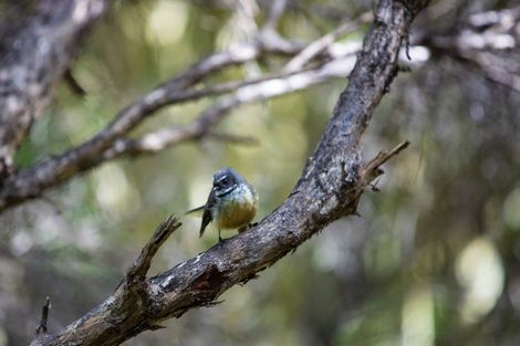 Photo of property in 1615 Whaanga Road, Raglan, 3296