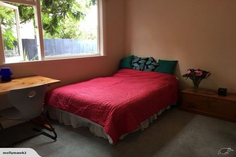 Photo of property in 51 Ngaio Street, Saint Martins, Christchurch, 8022