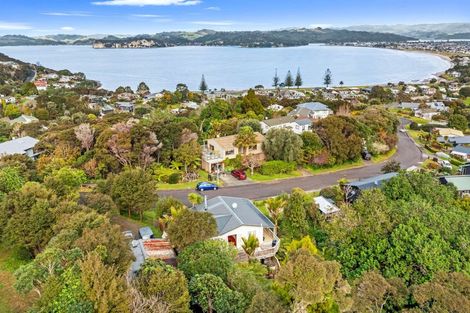 Photo of property in 24 Punga Place, Whitianga, 3510