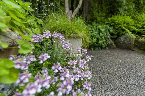 Photo of property in 8 River Glade, Waikanae, 5036