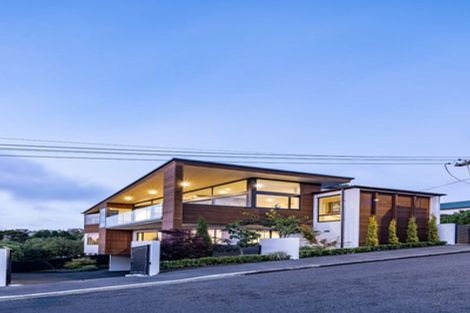 Photo of property in 18 Selkirk Street, Roslyn, Dunedin, 9010