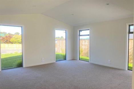 Photo of property in 41 Hart Road, Richmond, 7020