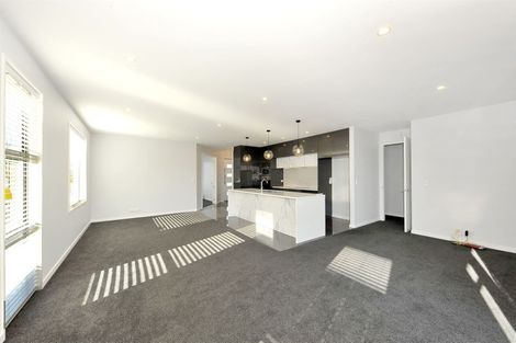 Photo of property in 50 Vernon Drive, Lincoln, 7608