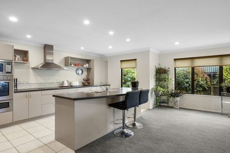 Photo of property in 17 Ashton Mews, Casebrook, Christchurch, 8051