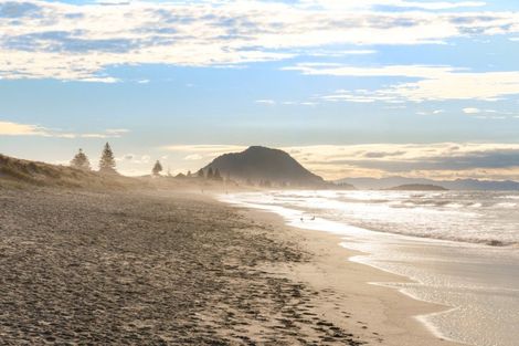 Photo of property in 55 Bayfair Drive, Mount Maunganui, 3116