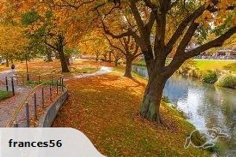 Photo of property in 1/868 Colombo Street, Christchurch Central, Christchurch, 8013