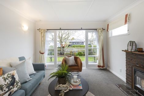 Photo of property in 10 Salisbury Avenue, Terrace End, Palmerston North, 4410