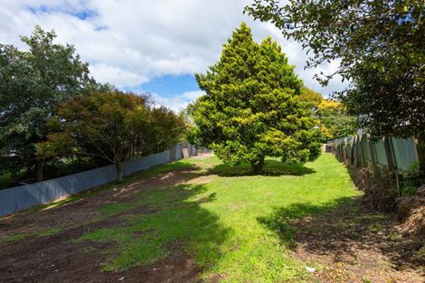 Photo of property in 38 Cole Street, Dannevirke, 4930