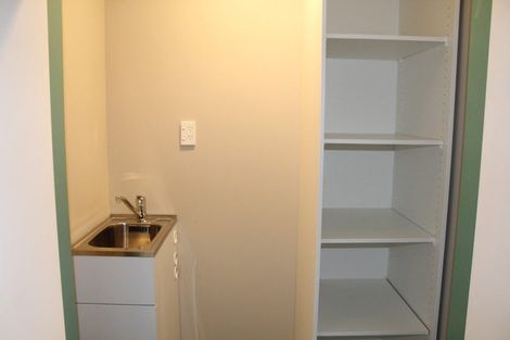 Photo of property in 17 Limbrick Street, Terrace End, Palmerston North, 4410