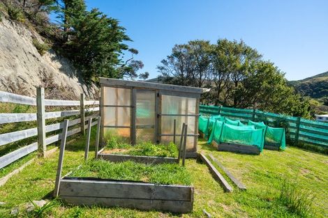 Photo of property in 474 Omokoroa Road, Makara, Wellington, 6972