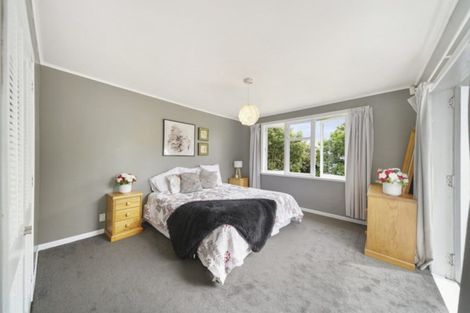 Photo of property in 115 Waihoehoe Road, Drury, 2113